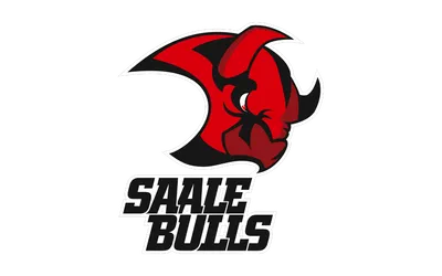 Logo Saale Bulls